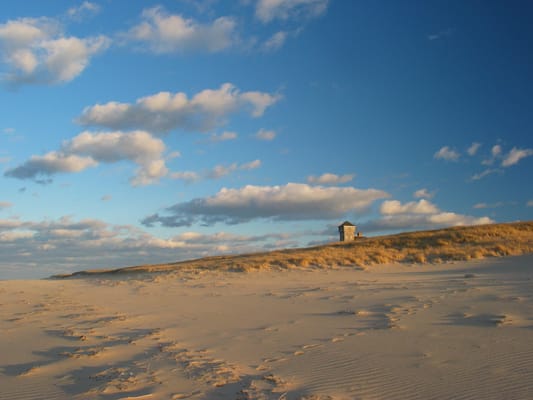 Les dunes et la plage du Cape Cod National Seashore dans la lumière du soir.