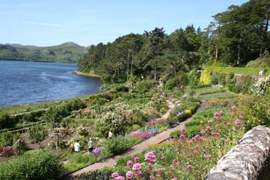 Inverewe Garden en été, entre massifs fleuris, pins et Loch Ewe.
