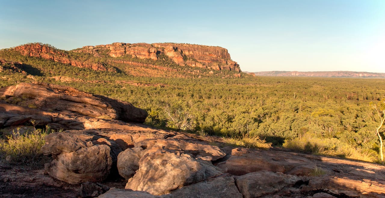 Burrungkuy (Nourlangie Rock) au-dessus de la forêt claire de Kakadu.