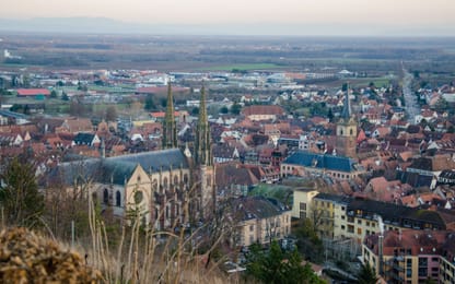 Obernai et ses toits, vus des vignes.