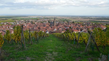 Les vignes au-dessus d’un village, et la plaine d’Alsace à l’horizon.