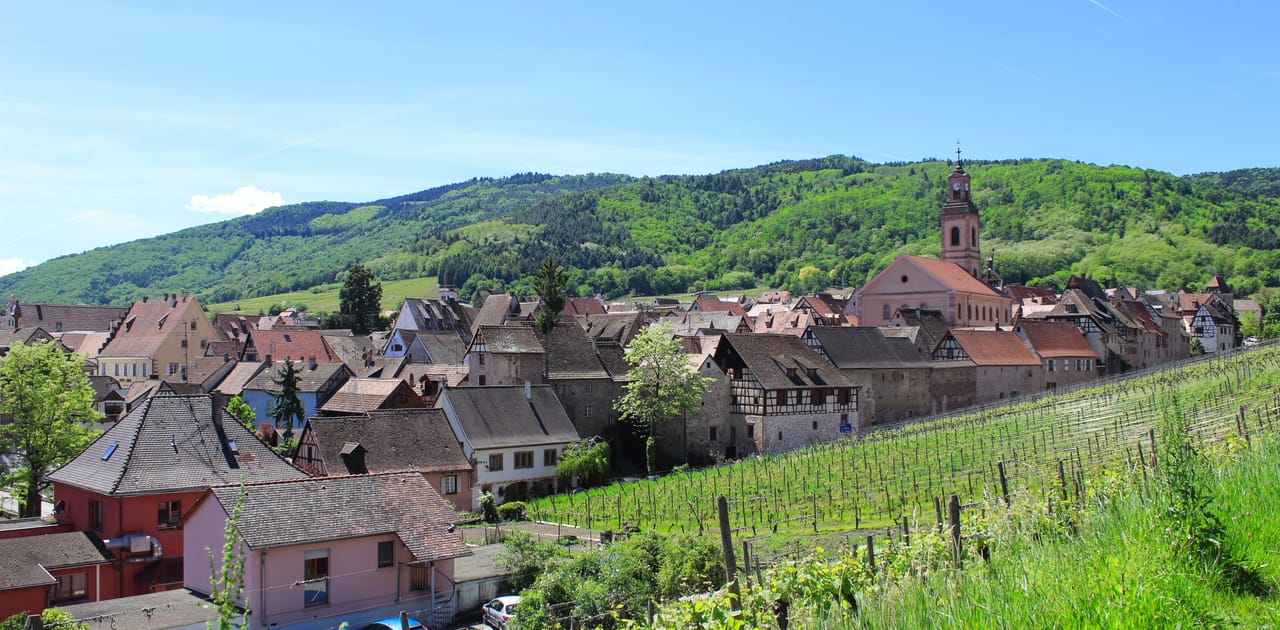Riquewihr au pied de ses vignes, sous les collines des Vosges.
