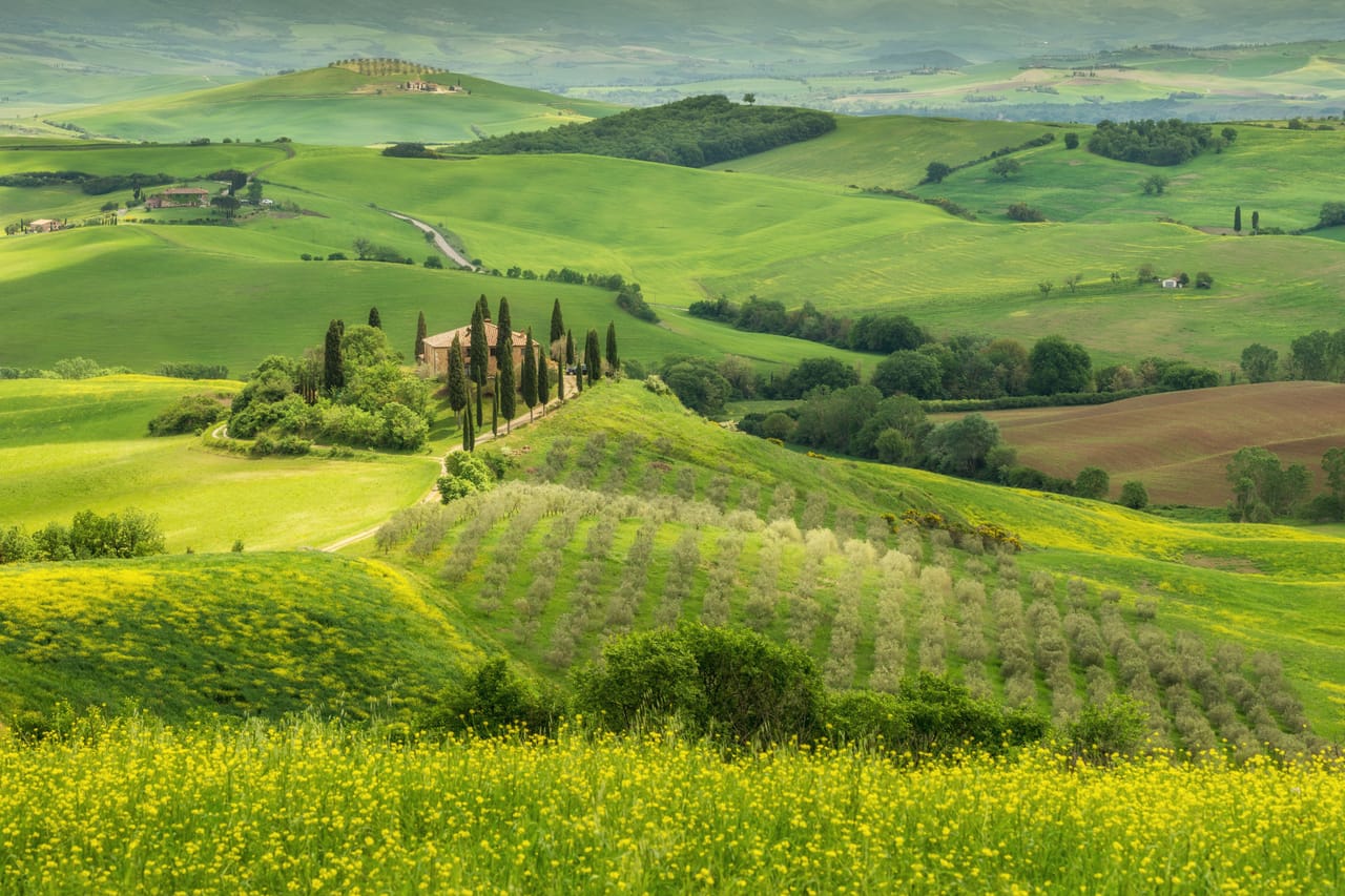 Les collines vertes du Val d’Orcia, une ferme et ses cyprès.