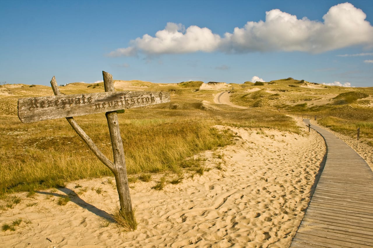 Les dunes grises de Nagliai et leur caillebotis.