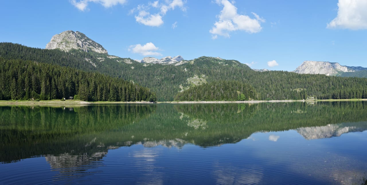 Le lac Noir et son reflet sous le Međed, entre les pins, près de Žabljak.
