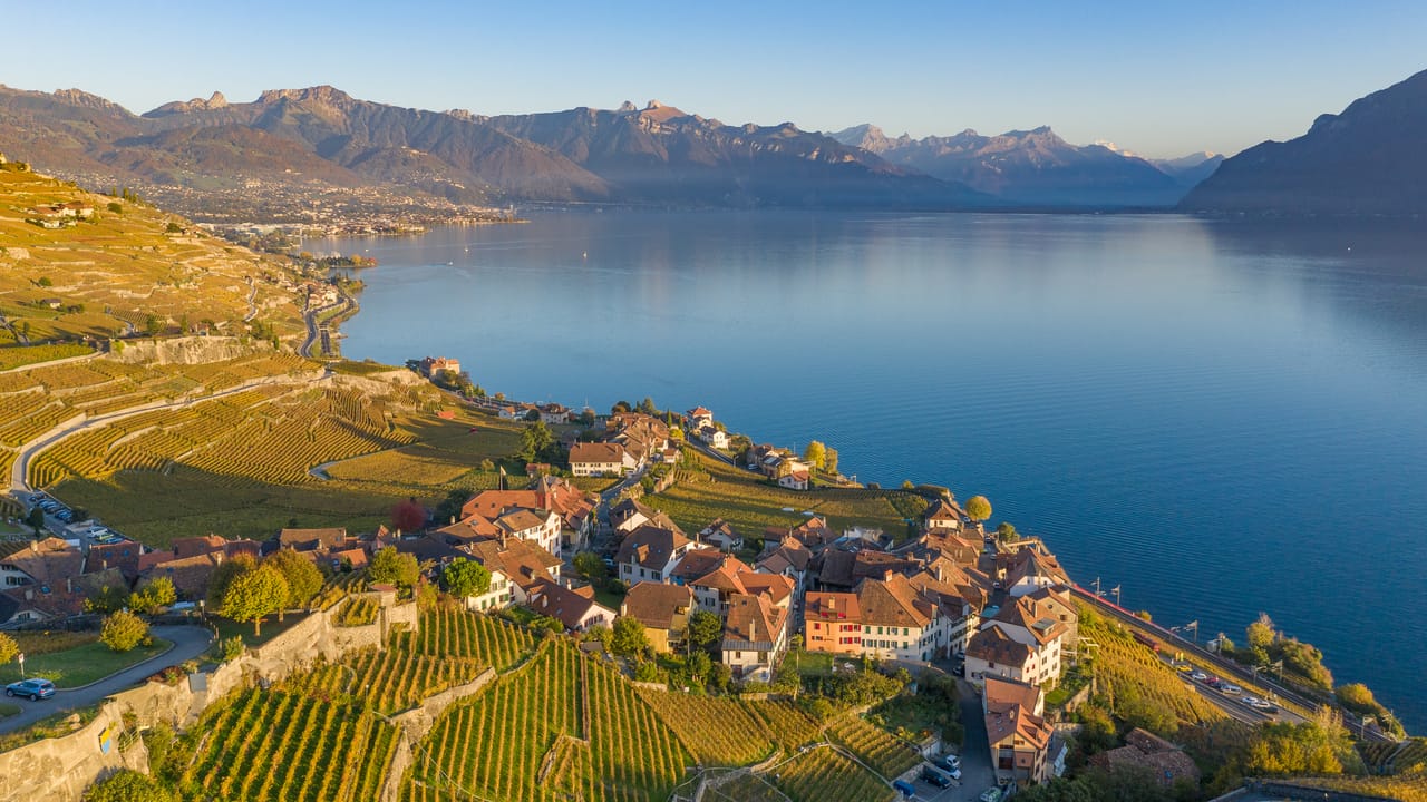 Les vignes en terrasses de Lavaux au-dessus du Léman.