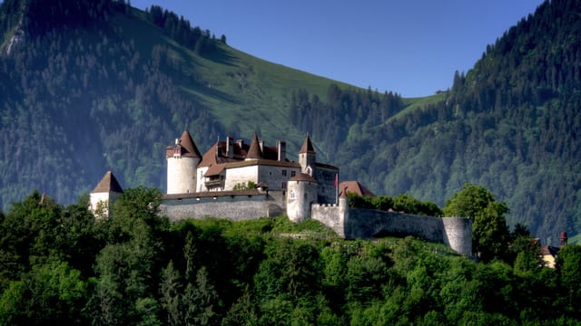 Le château de Gruyères sur sa colline, vu depuis Broc.
