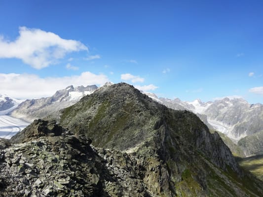 L’arête de l’Eggishorn, le glacier d’Aletsch et les Alpes bernoises.