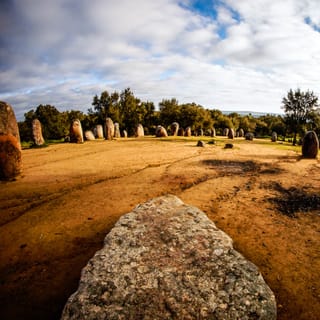 Le cromlech des Almendres : un bloc au premier plan, l’ellipse de menhirs sous les chênes.