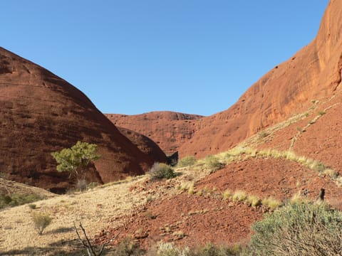 Les dômes rouges de Kata Tjuta dans la Valley of the Winds.