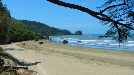 La plage du cap Hillsborough, entre le promontoire boisé et les rochers.