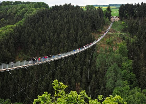 A ponte pedonal da Geierlay, estendida sobre um vale arborizado.
