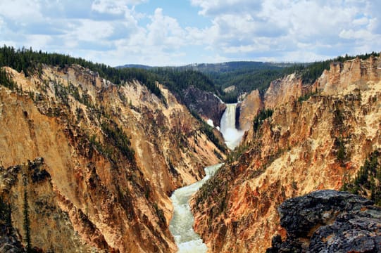 Der Grand Canyon of the Yellowstone und die Lower Falls zwischen gelben und ockerfarbenen Felswänden.