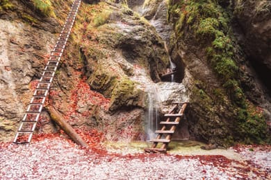 Les échelles le long d’une cascade, dans une gorge du Paradis slovaque.