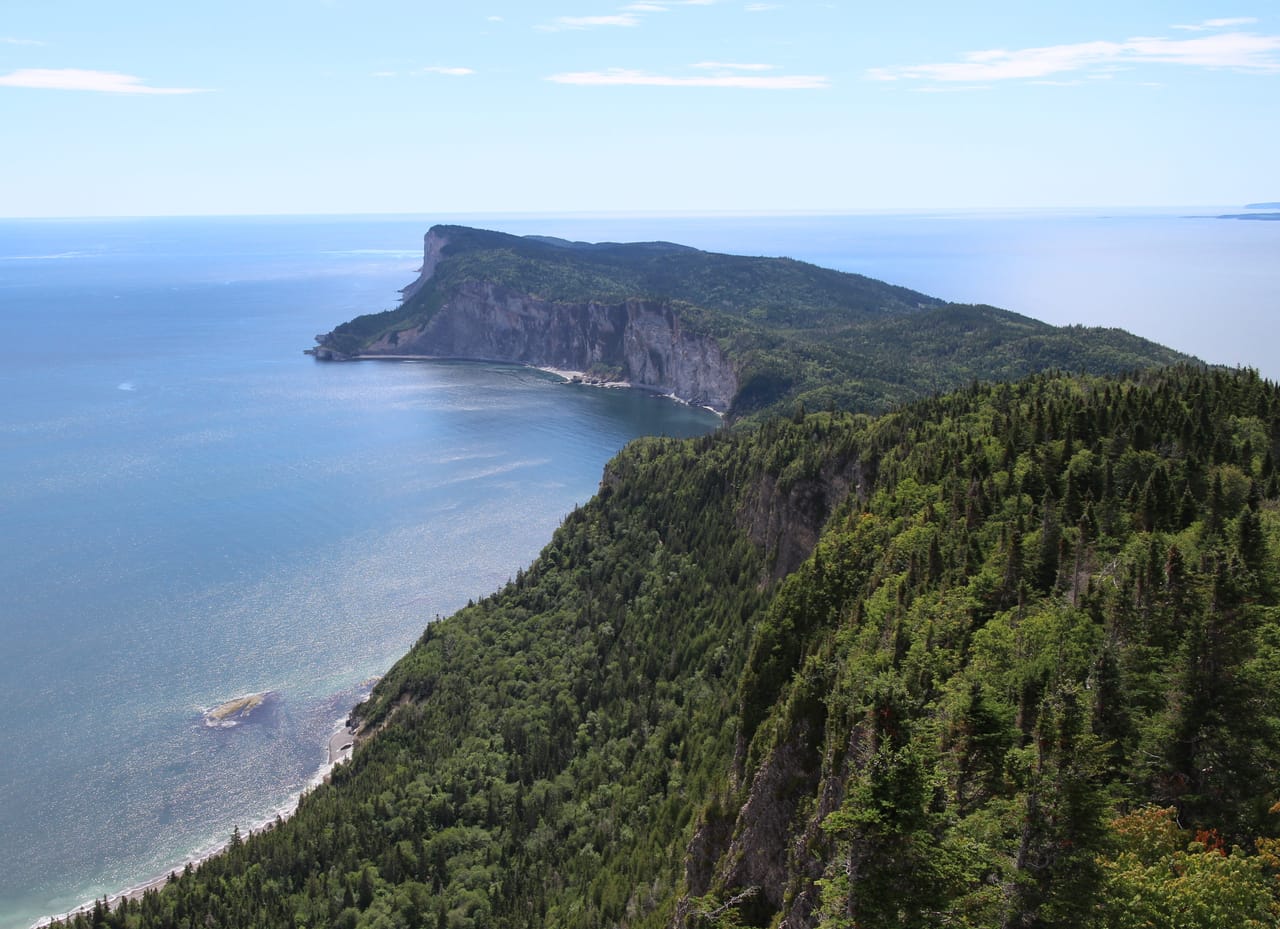 Les falaises boisées de Forillon plongeant dans le golfe, au bout de la péninsule.