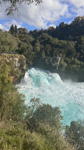 Le Huka Falls sotto il cielo azzurro: l’acqua turchese del Waikato sgorga tra gli alberi.
