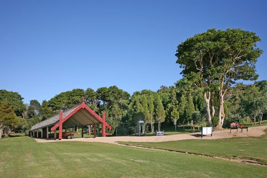 I Waitangi Treaty Grounds e il riparo scolpito del waka da guerra.