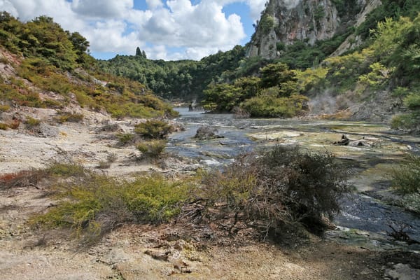 Un ruscello fumante sul sinter bianco della valle di Waimangu.