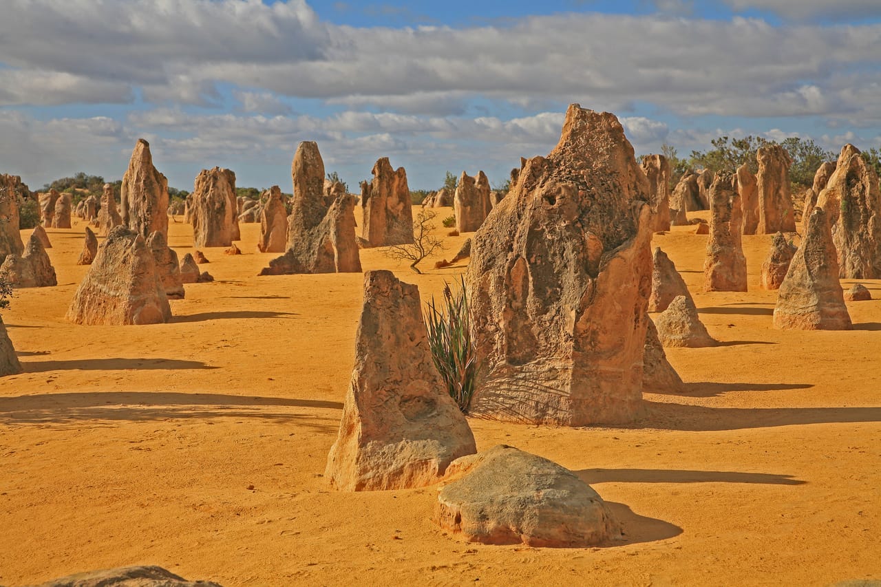 Les Pinnacles du parc national de Nambung, colonnes calcaires sur le sable ocre.