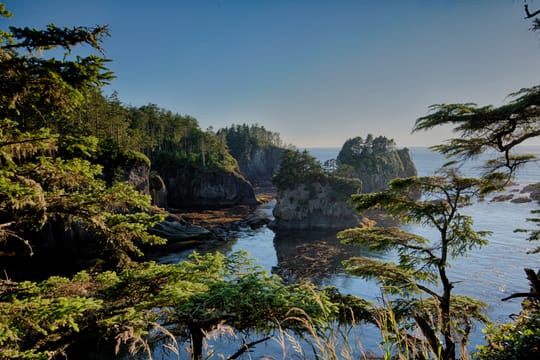 Les criques boisées et l’eau turquoise de Cape Flattery.