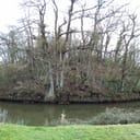 Fort du Muret