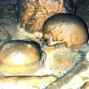 Grotte de Linars