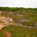 Reserva Natural das Dunas de São Jacinto