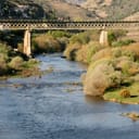 Puente ferroviario del Corgo