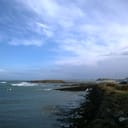 Île Thinic