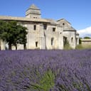 Monastère Saint-Paul-de-Mausole