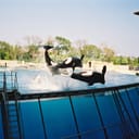 Marineland d'Antibes