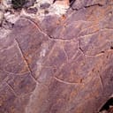 Sites d'art rupestre préhistorique de la vallée de Côa