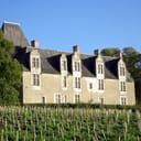Château de la Cour-au-Berruyer