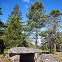 Antas de Serra do Soajo