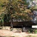 Abri de Cro-Magnon