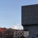 Tête Carrée