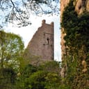 Château de Dagsbourg