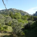 Arboretum du Font de l'Orme