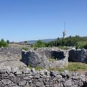 Citânia de Santa Luzia