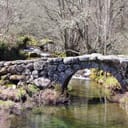 Ponte de Dorna